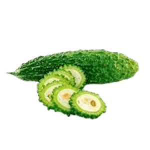 Fresh Bitter gourd | Pakarkay