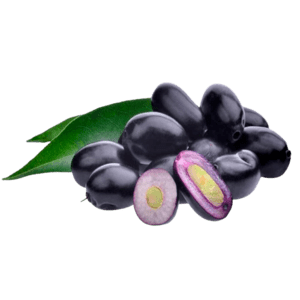 Fresh Jamun Fruit | Naval Palam