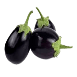 Fresh Brinjal-Varikatri | kathirikai