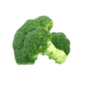 Broccoli