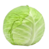 Cabbage