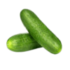 Cucumber