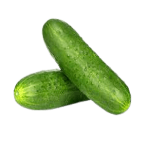 Fresh Cucumber
