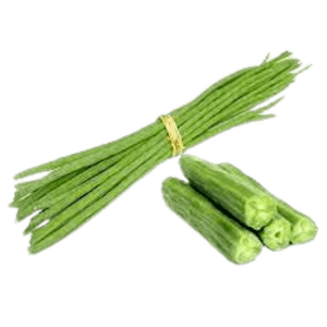 Fresh Drumstick – Moringa