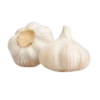 Fresh Big Garlic