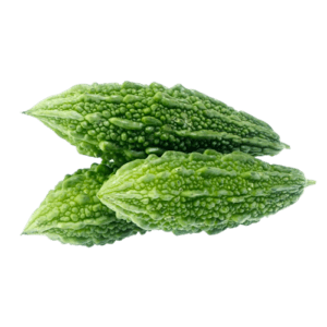 Fresh Bitter gourd