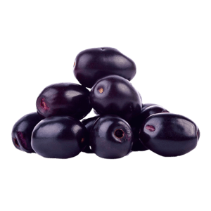 Fresh Jamun Fruit | Naval Palam