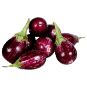 Fresh Brinjal-Varikatri | kathirikai