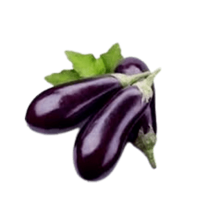 Fresh Brinjal | kathirikai