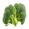 Fresh Broccoli
