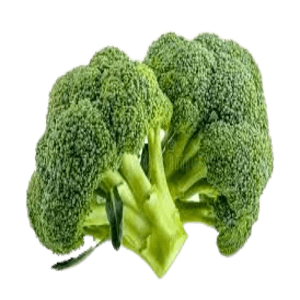 Fresh broccoli