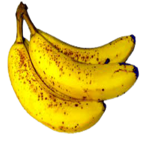 Banana – Cavendish