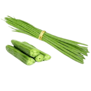 Fresh Drumstick – Moringa