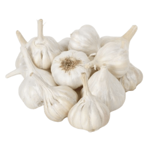 Fresh Garlic | Pundu