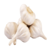 Fresh Garlic.