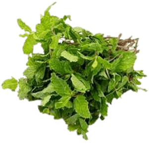 Fresh Mint Leaves | Pudina leaf