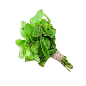Fresh Mint Leaves | Pudina leaf