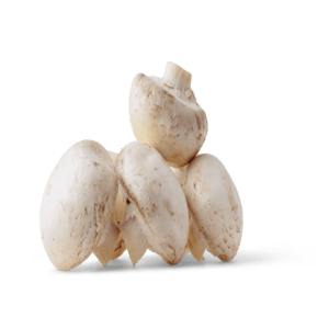 Fresh Mushroom | Kalan