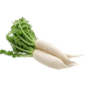 Fresh Radish