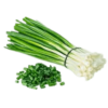 Fresh Spring Onion