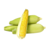 Fresh Sweet Corn