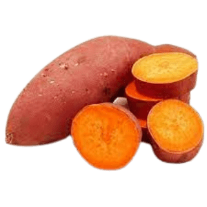 Fresh Sweet Potato