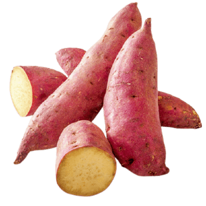 Fresh Sweet Potato