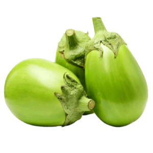 White Brinjal -Varikatri