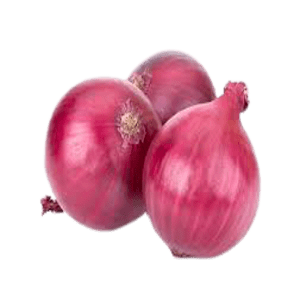 Fresh Onion