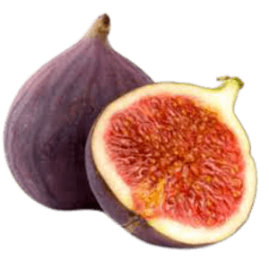 Fresh Fig Fruit