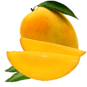 Fresh Mangoes -Totapuri