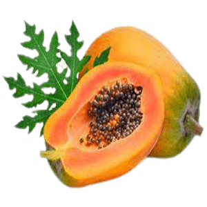 Fresh Papaya
