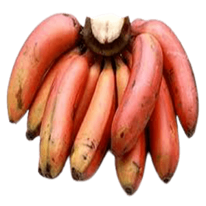 Fresh Red Banana | Sevvalai