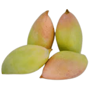 Green Mango – Bangalore Mango