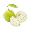 Fresh Guava