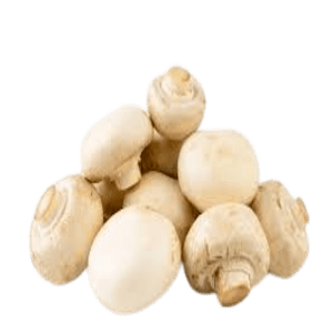 Fresh Mushroom | Kalan