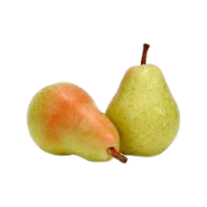 Fresh Pear Fruit