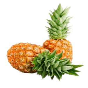 Fresh Pineapple