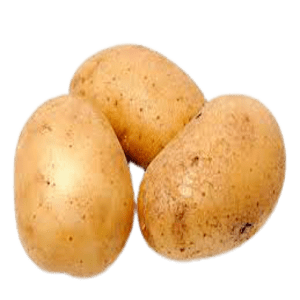 Fresh Potato