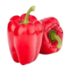 Red Capsicum