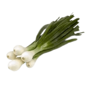 Fresh Spring Onion