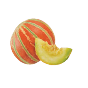 Striped Muskmelon