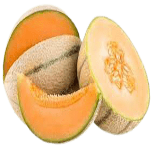 Striped Muskmelon