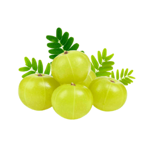 Fresh Amla