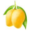 fresh mango