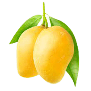 Fresh Mangoes -Totapuri
