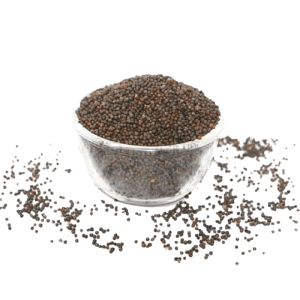 Organic - Black Mustard - Kadugu Sasive