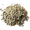 Organic - Kambu -Bajra Wild - Pearl Millet