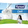 Hatsun Curd-140gm