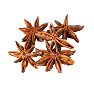 Organic – Badal Phool | Star Anise (Annasi Poo)